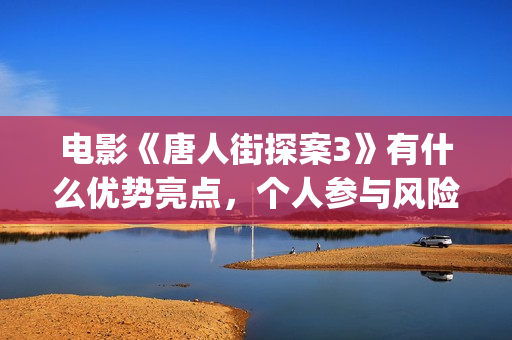 电影《唐人街探案3》有什么优势亮点，个人参与风险大吗(电影《唐人街探案2》高清在线观看免)