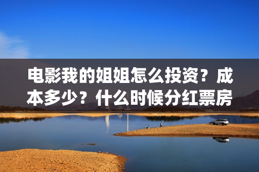 电影我的姐姐怎么投资？成本多少？什么时候分红票房？(我的姐姐标清)