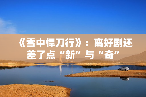 《雪中悍刀行》：离好剧还差了点“新”与“奇”