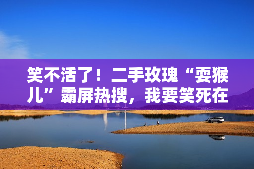 笑不活了！二手玫瑰“耍猴儿”霸屏热搜，我要笑死在网友评论区里