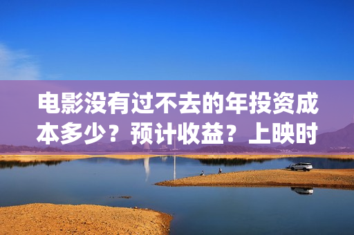 电影没有过不去的年投资成本多少？预计收益？上映时间(电影没有过不去的年免费播放)