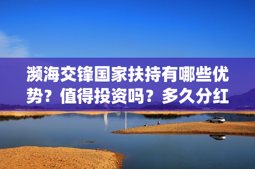 濒海交锋国家扶持有哪些优势？值得投资吗？多久分红？(濒海交锋能投吗)
