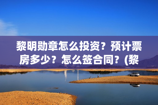 黎明勋章怎么投资？预计票房多少？怎么签合同？(黎明勋章的进度)