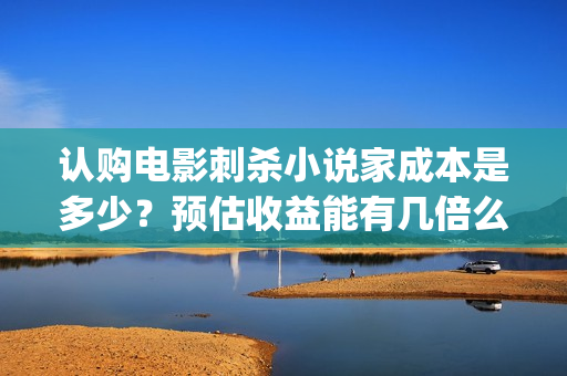 认购电影刺杀小说家成本是多少？预估收益能有几倍么？(刺杀小说电影简介)