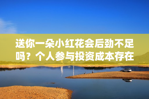 送你一朵小红花会后劲不足吗？个人参与投资成本存在溢价吗？(送你一朵小红花 歌曲)