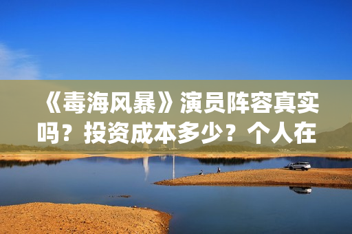 《毒海风暴》演员阵容真实吗？投资成本多少？个人在哪能认购？(《毒海风暴》演员表介绍)