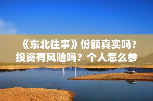 《东北往事》份额真实吗？投资有风险吗？个人怎么参与投资？(东北往事原文)