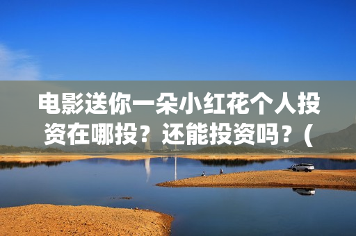 电影送你一朵小红花个人投资在哪投？还能投资吗？(电影送你一朵小红花完整版免费观看)