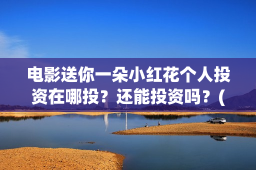电影送你一朵小红花个人投资在哪投？还能投资吗？(电影送你一朵小红花演员表)