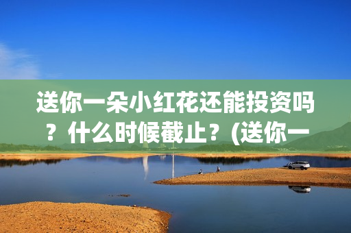 送你一朵小红花还能投资吗？什么时候截止？(送你一朵小红花电影)