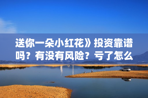 送你一朵小红花》投资靠谱吗？有没有风险？亏了怎么办？(送你一朵小红花电影剧情介绍)