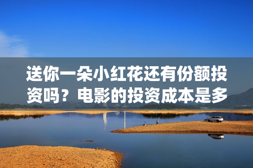 送你一朵小红花还有份额投资吗？电影的投资成本是多少？个人可以参与吗？(送你一朵小红花电影免费观看)
