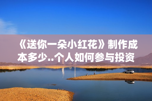 《送你一朵小红花》制作成本多少..个人如何参与投资..收益跟风险那个更大？(送你一朵小红花歌词)