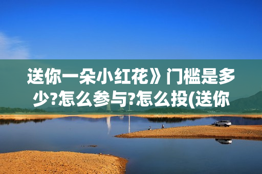 送你一朵小红花》门槛是多少?怎么参与?怎么投(送你一朵小红花歌词表达什么意思)