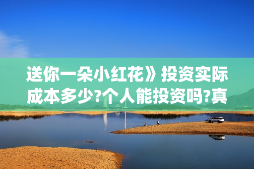 送你一朵小红花》投资实际成本多少?个人能投资吗?真实吗(送你一朵小红花电影免费观看)