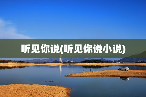 听见你说(听见你说小说)