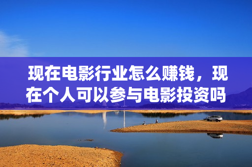  现在电影行业怎么赚钱，现在个人可以参与电影投资吗？ (现在电影行业好做吗)