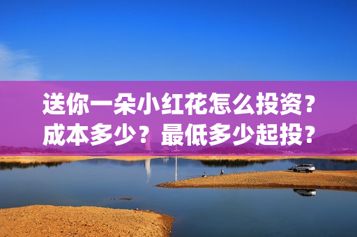 送你一朵小红花怎么投资？成本多少？最低多少起投？(送你一朵小红花演员表)