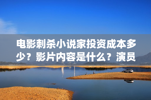 电影刺杀小说家投资成本多少？影片内容是什么？演员都有谁？(电影刺杀小说家2免费观看完整版高清)