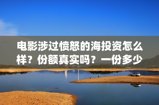 电影涉过愤怒的海投资怎么样？份额真实吗？一份多少钱？(电影涉过愤怒的海讲了什么)