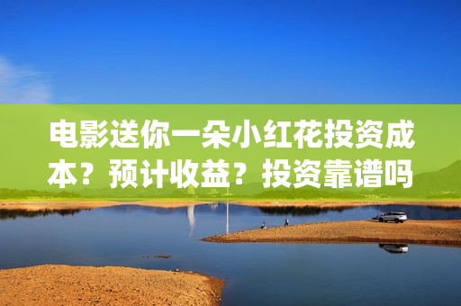 电影送你一朵小红花投资成本？预计收益？投资靠谱吗？(电影送你一朵小红花的英文)