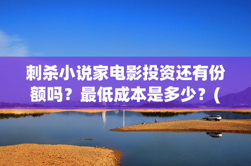 刺杀小说家电影投资还有份额吗？最低成本是多少？(刺杀小说家2)