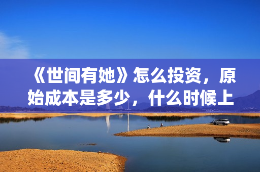 《世间有她》怎么投资，原始成本是多少，什么时候上映？(世间有她剧情)