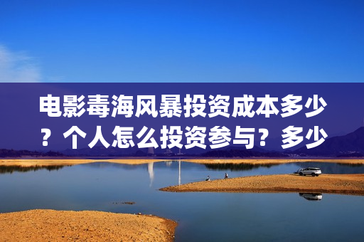电影毒海风暴投资成本多少？个人怎么投资参与？多少起投？(毒海风暴 电影)