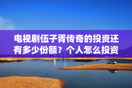 电视剧伍子胥传奇的投资还有多少份额？个人怎么投资？(电视剧伍子胥传奇)