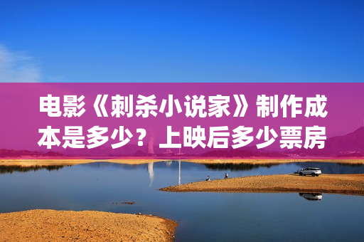 电影《刺杀小说家》制作成本是多少？上映后多少票房回本？ (电影《刺杀小说家2》完整版视频)