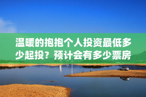 温暖的抱抱个人投资最低多少起投？预计会有多少票房？(温 暖的抱抱)
