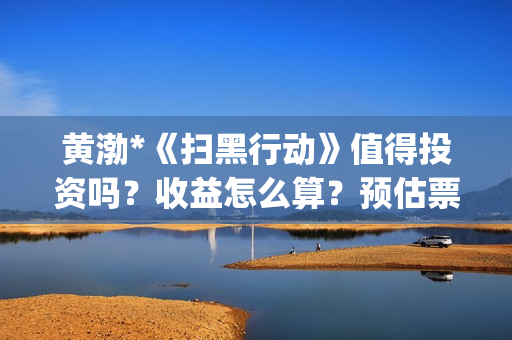 黄渤*《扫黑行动》值得投资吗？收益怎么算？预估票房多少？(电视剧扫黑暴)
