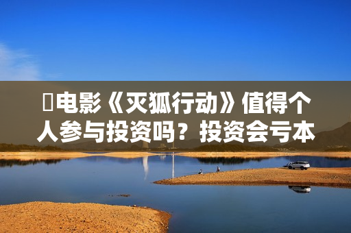 ☞电影《灭狐行动》值得个人参与投资吗？投资会亏本吗？怎么降低投资风险？