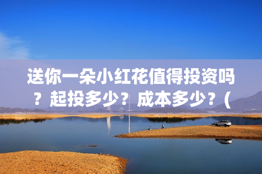 送你一朵小红花值得投资吗？起投多少？成本多少？(送你一朵小红花原唱)