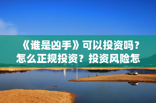 《谁是凶手》可以投资吗？怎么正规投资？投资风险怎么样？(谁是凶手内容)