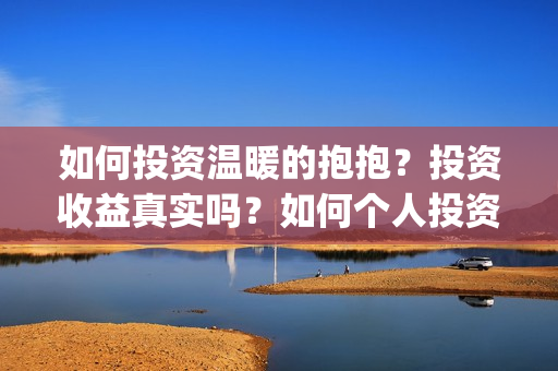 如何投资温暖的抱抱？投资收益真实吗？如何个人投资？投资渠道？(叫你知道怎么投资)