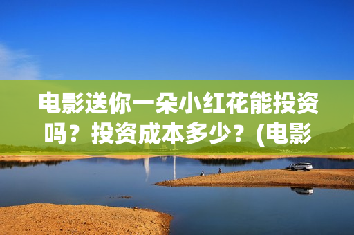 电影送你一朵小红花能投资吗？投资成本多少？(电影送你一朵小红花观后感)