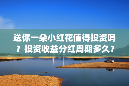 送你一朵小红花值得投资吗？投资收益分红周期多久？(送你一朵小红花原唱)