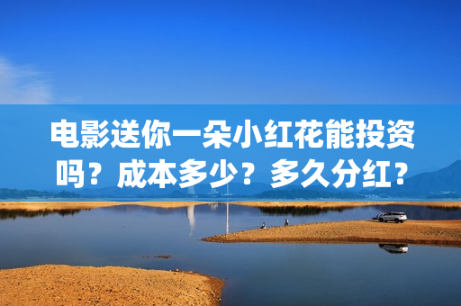 电影送你一朵小红花能投资吗？成本多少？多久分红？(电影送你一朵小红花主题曲)