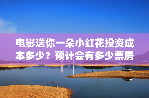 电影送你一朵小红花投资成本多少？预计会有多少票房？(电影送你一朵小红花主题曲)