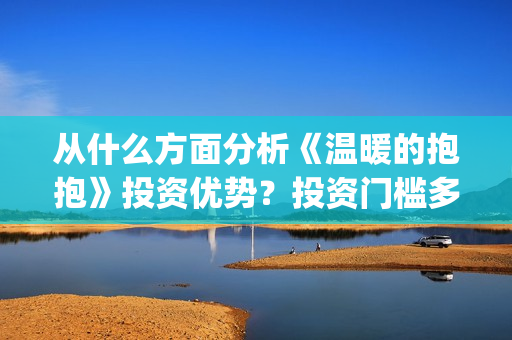 从什么方面分析《温暖的抱抱》投资优势？投资门槛多少?(从什么角度分析)
