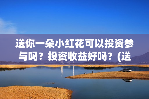 送你一朵小红花可以投资参与吗？投资收益好吗？(送你一朵小红花 歌曲)