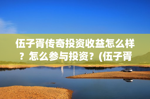 伍子胥传奇投资收益怎么样？怎么参与投资？(伍子胥传奇电视剧投资项目)