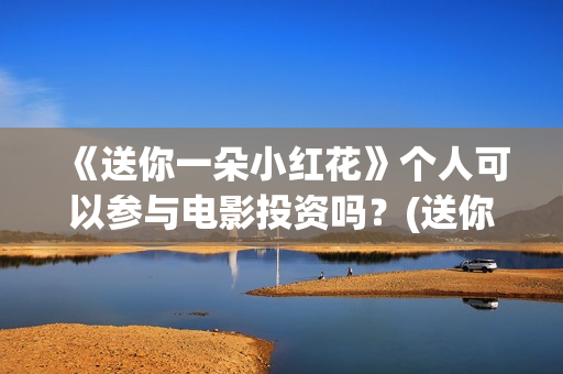 《送你一朵小红花》个人可以参与电影投资吗？(送你一朵小红花演员表)