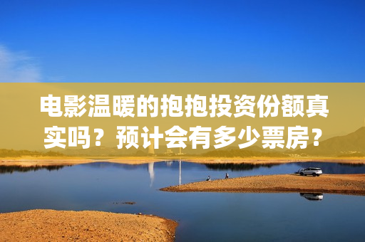 电影温暖的抱抱投资份额真实吗？预计会有多少票房？(电影温暖的抱抱剧情介绍)