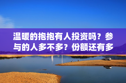 温暖的抱抱有人投资吗？参与的人多不多？份额还有多少？比股票赚钱吗 (温暖的抱抱有谁)