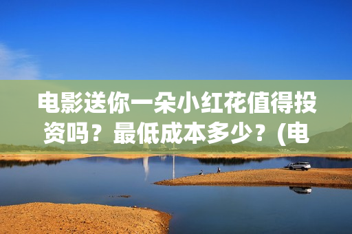 电影送你一朵小红花值得投资吗？最低成本多少？(电影送你一朵小红花演员表)