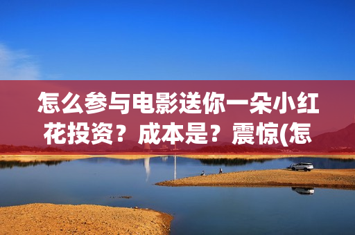 怎么参与电影送你一朵小红花投资？成本是？震惊(怎么赠送电影)