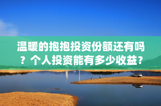 温暖的抱抱投资份额还有吗？个人投资能有多少收益？(温暖的抱抱投资方式)