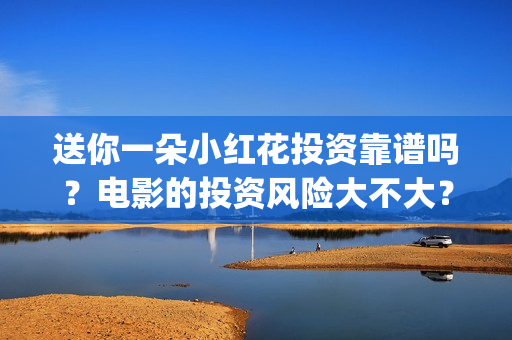 送你一朵小红花投资靠谱吗？电影的投资风险大不大？ (送你一朵小红花歌词表达什么意思)